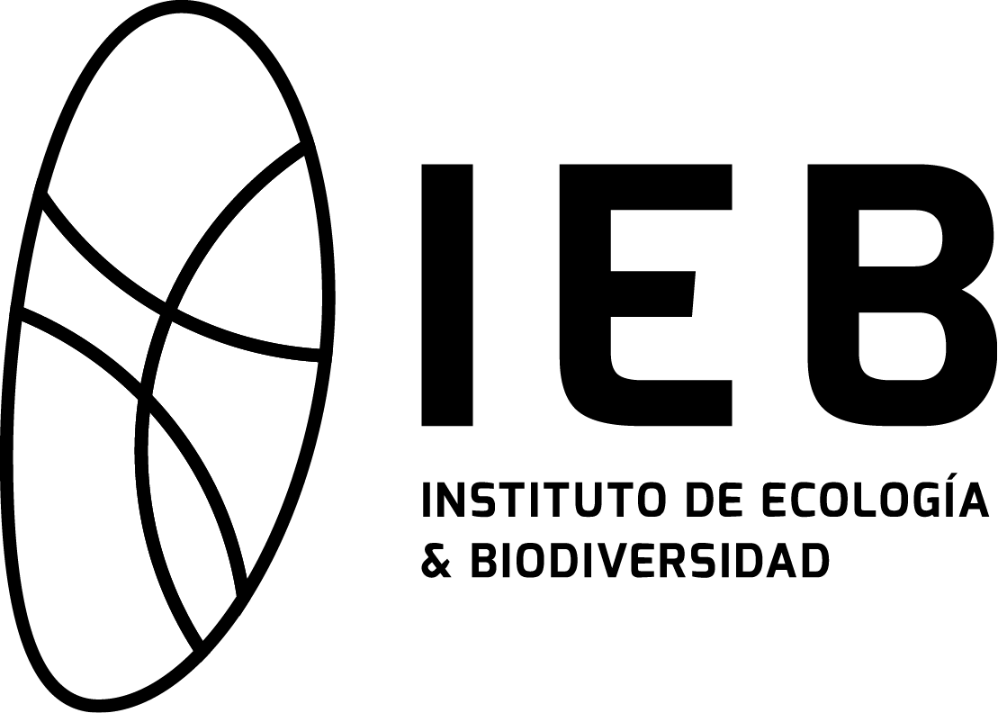 Logo IEB